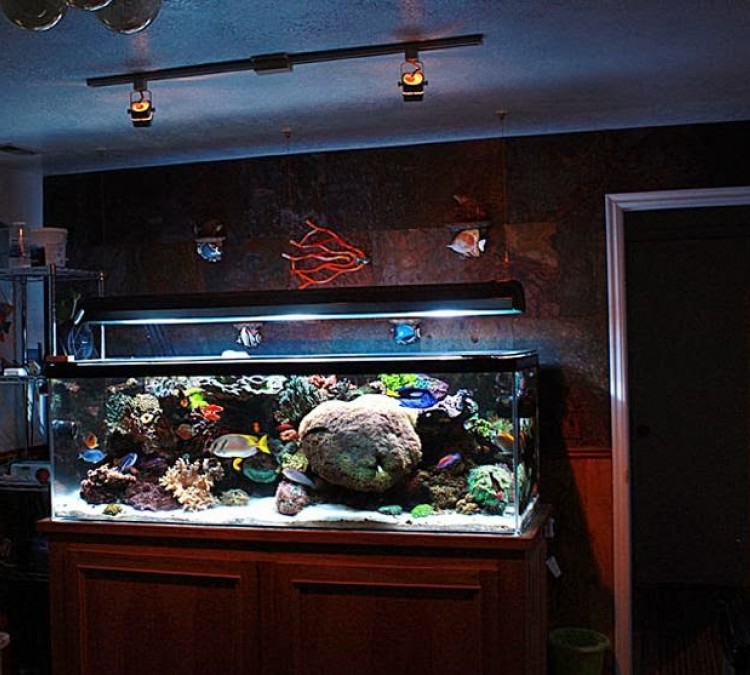 aquarium-technicians-photo